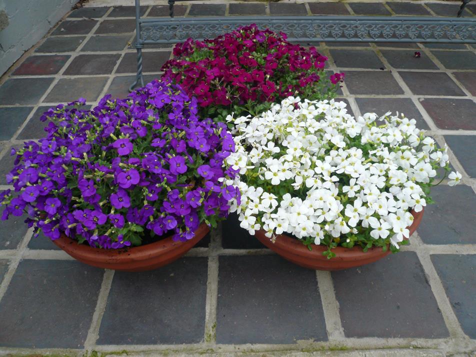 Just Spring